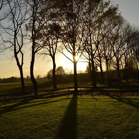 In Near Forest Trails *