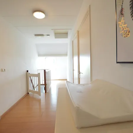 In Near Forest Trails * Elsendorp