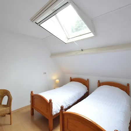 In Near Forest Trails