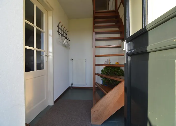 In Near Forest Trails * Elsendorp