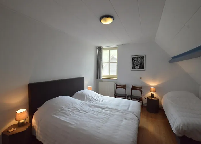 In Near Forest Trails * Elsendorp