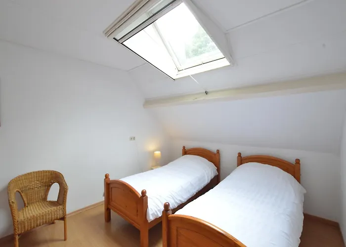 In Near Forest Trails